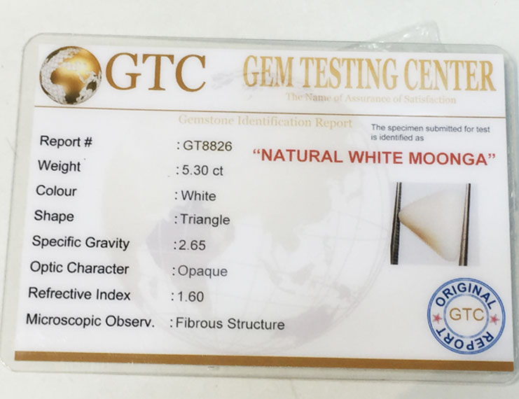 5.90 ratti/5.30 ct Natural Certified  White Coral/सफ़ेद मूंगा